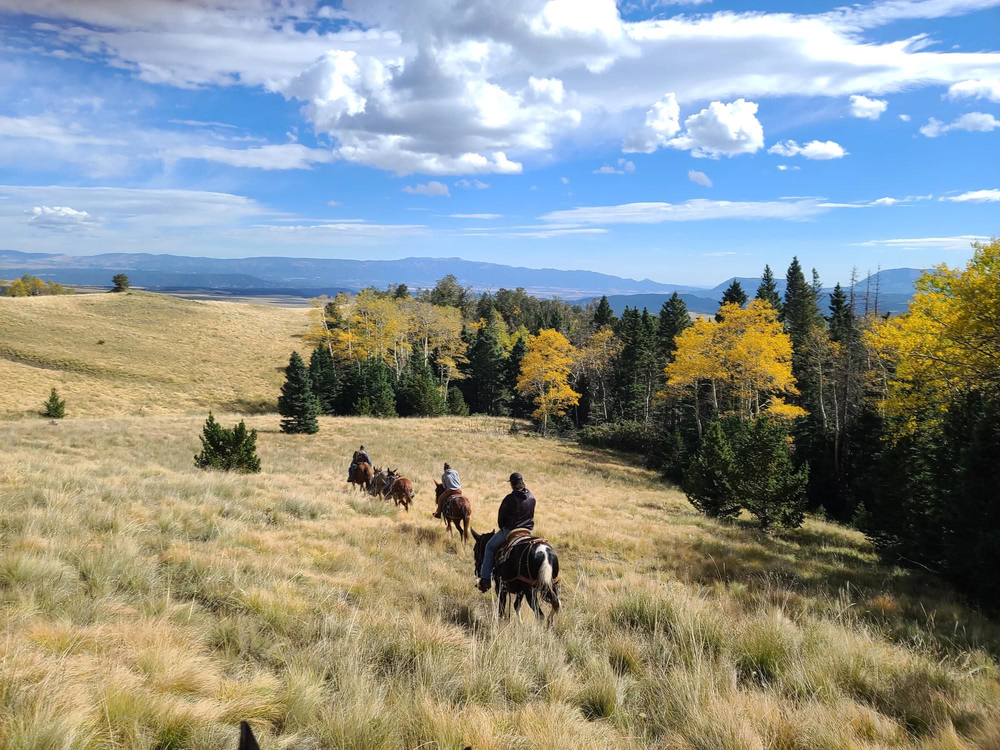 a line of horses riding down a ridge in the mountains