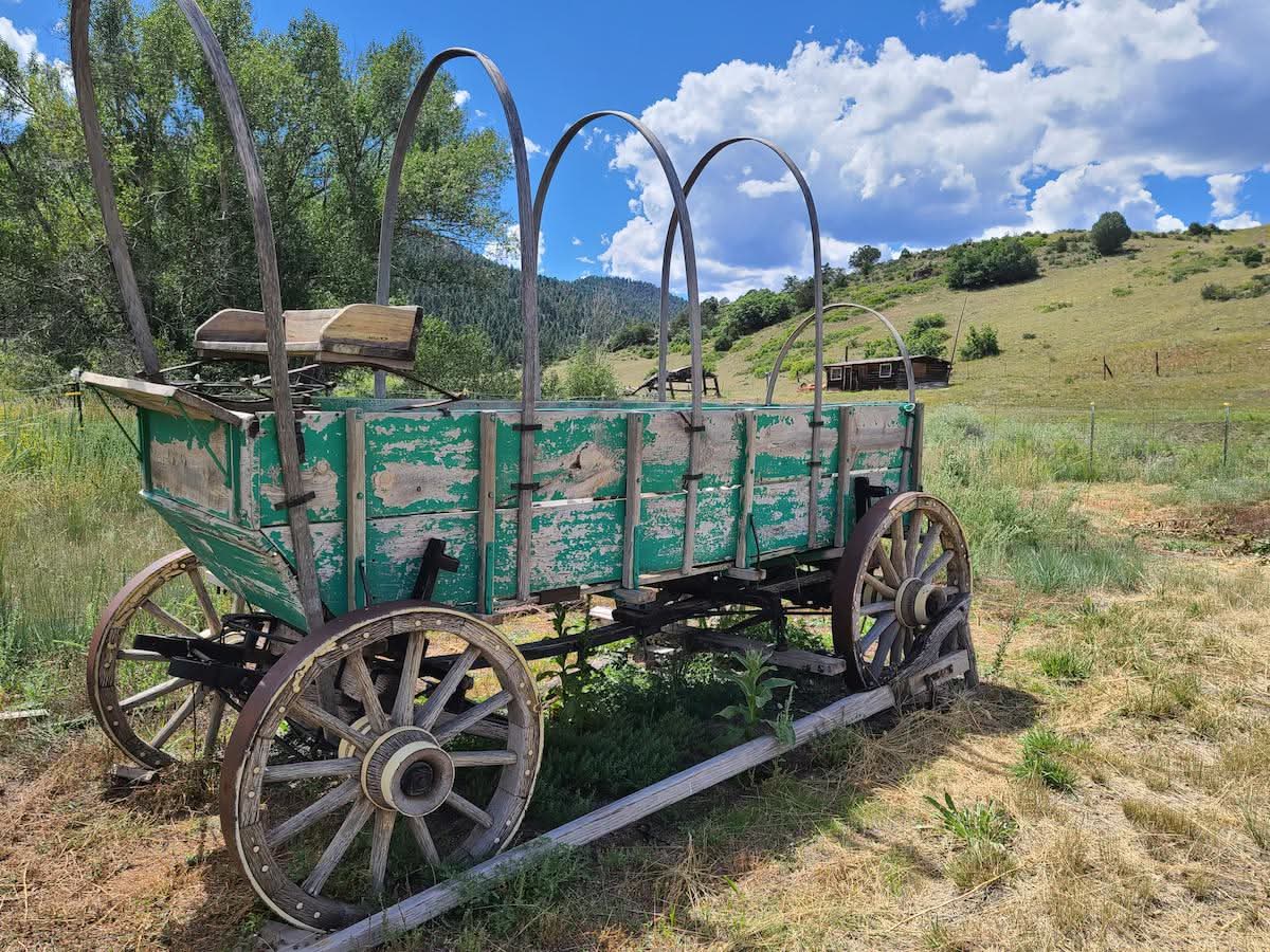 old historic wagon in a field